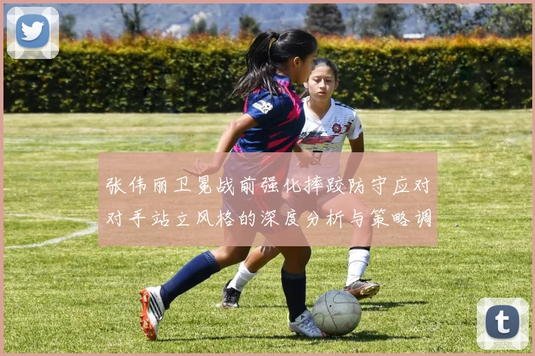 张伟丽卫冕战前强化摔跤防守应对对手站立风格的深度分析与策略调整