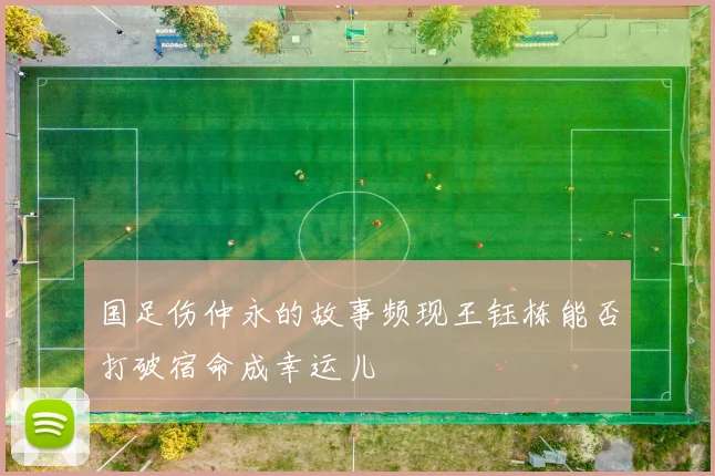 国足伤仲永的故事频现王钰栋能否打破宿命成幸运儿