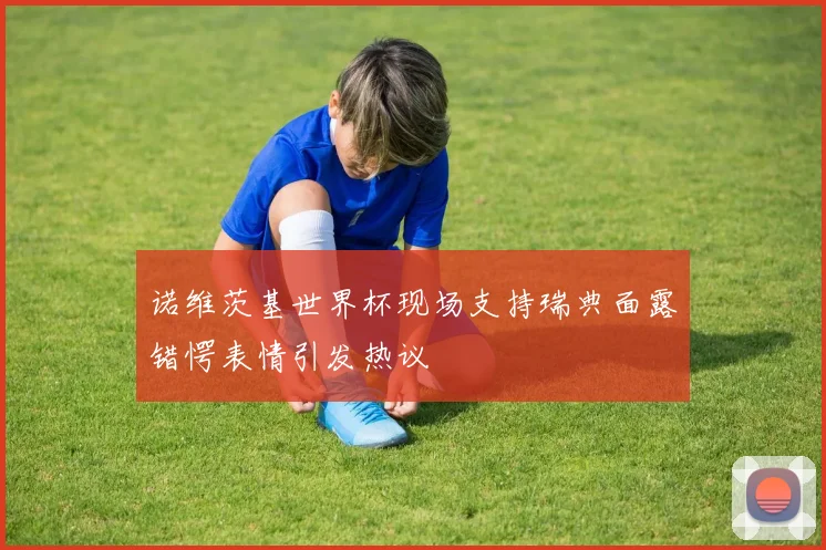 诺维茨基世界杯现场支持瑞典面露错愕表情引发热议